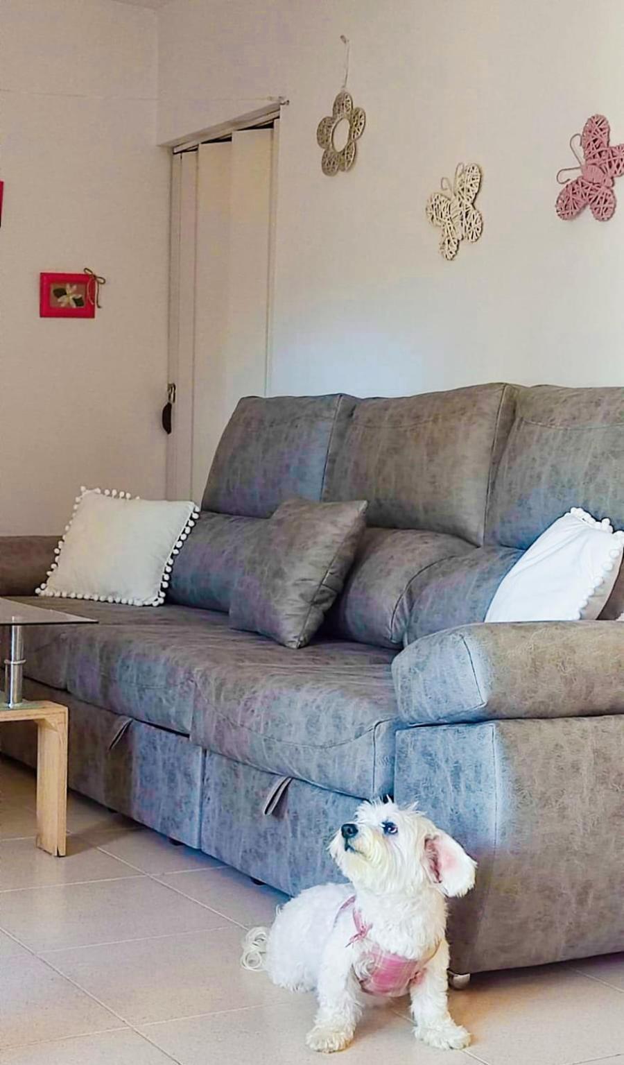 הוילה טראגאצטה Casita Luan מראה חיצוני תמונה